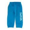 JogginghoseHellblau
